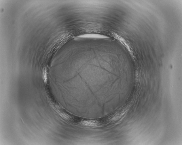 X0000087020069200705141907