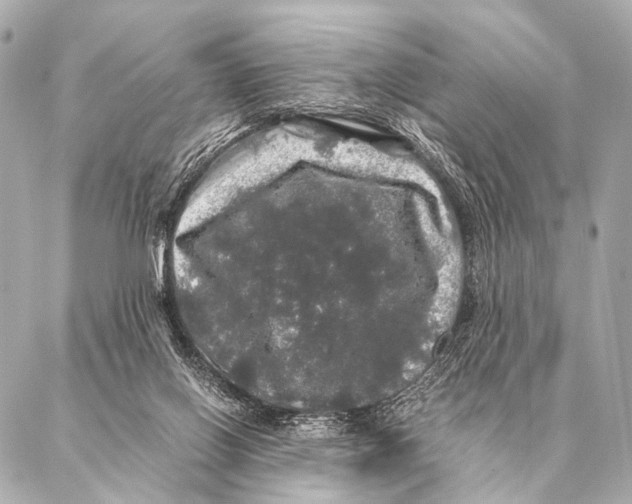 X0000087020070200705141907