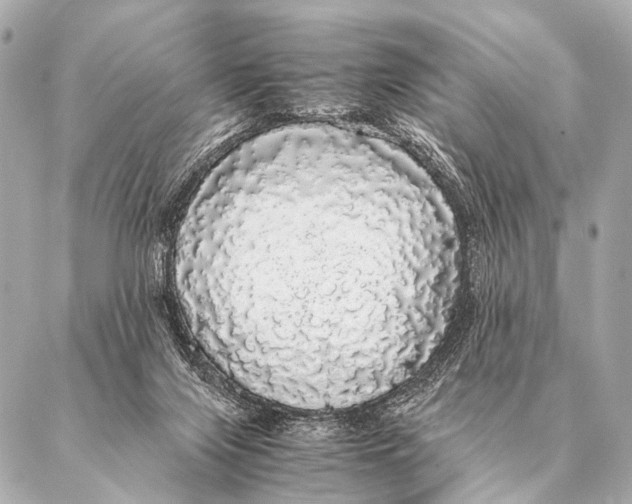 X0000087020071200705141907