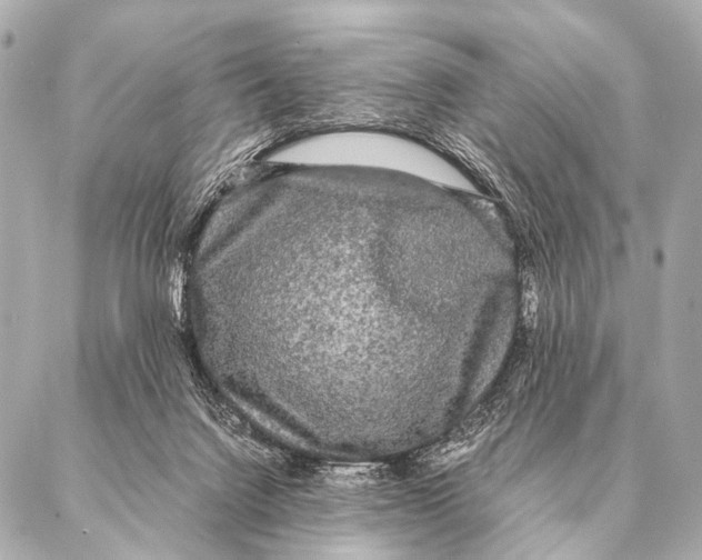 X0000087020072200705141907