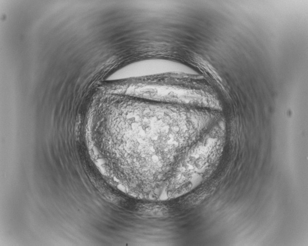 X0000087020073200705141907