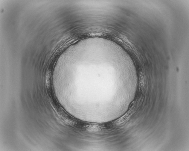 X0000087020074200705141907