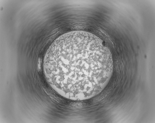 X0000087020075200705141907