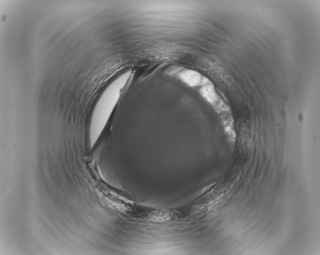 X0000087020076200705141907