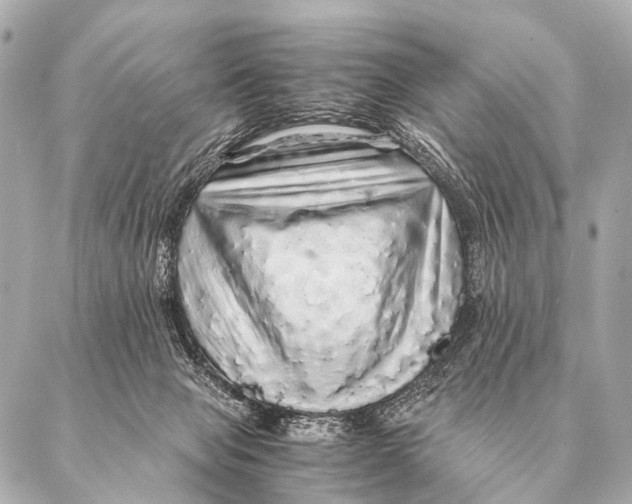 X0000087020077200705141907