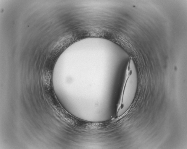 X0000087020078200705141907