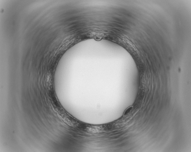 X0000087020079200705141907