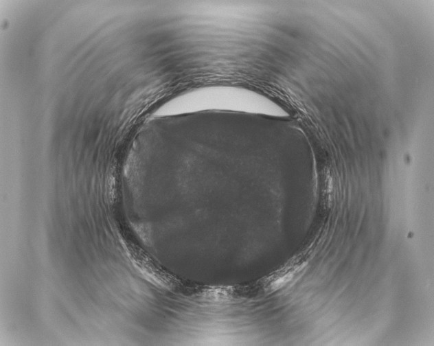 X0000087020080200705141907