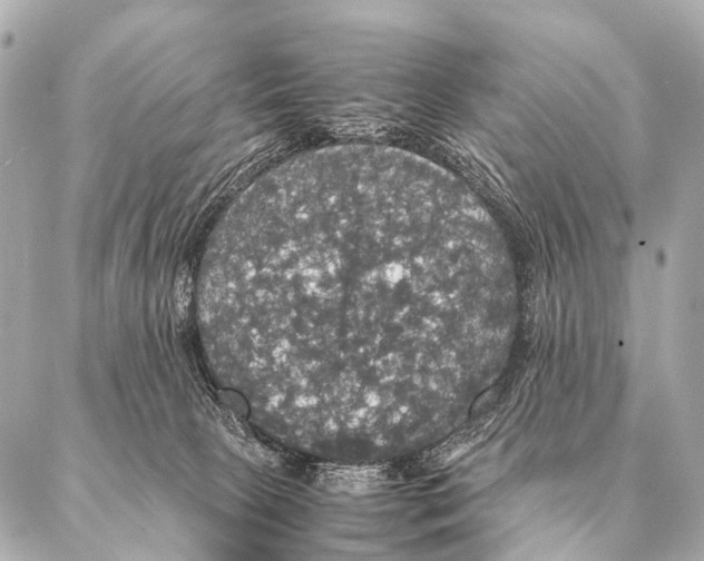 X0000087020081200705141907