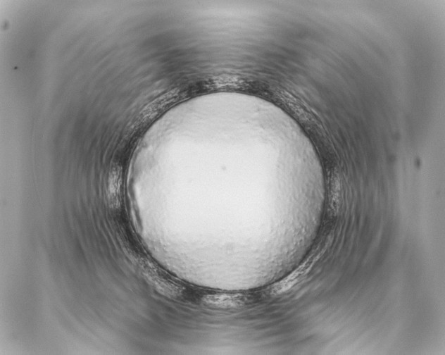 X0000087020082200705141907