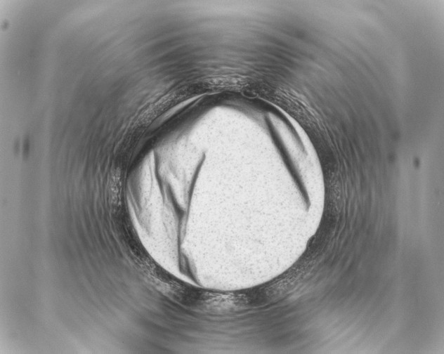 X0000087020083200705141907