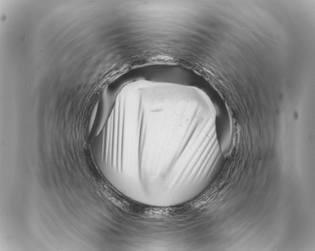 X0000087020084200705141907