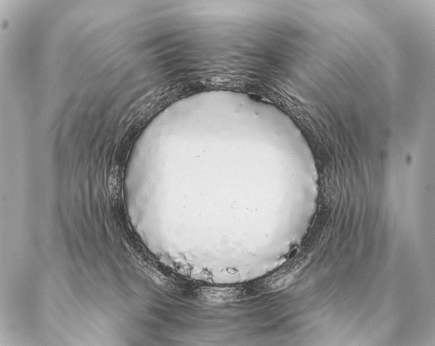 X0000087020085200705141907