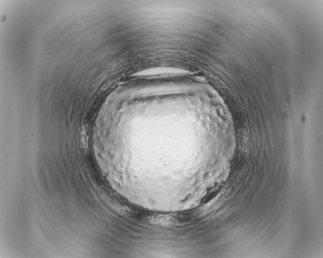 X0000087020086200705141907