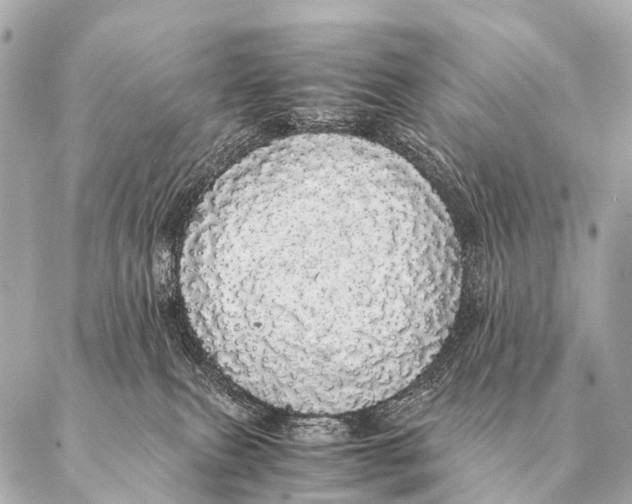 X0000087020087200705141907