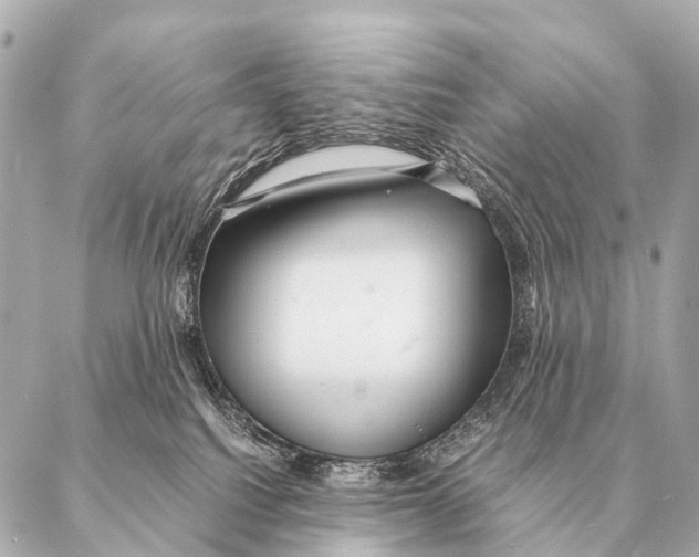 X0000087020088200705141907