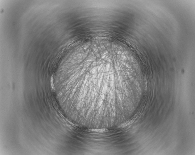 X0000087020089200705141907