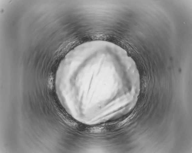 X0000087020090200705141907