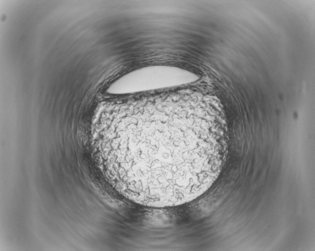 X0000087020091200705141907