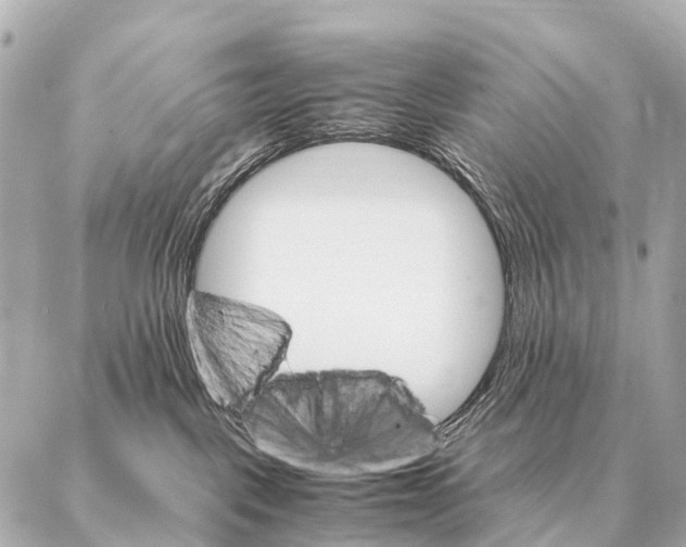 X0000087020093200705141907