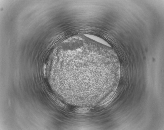 X0000087020094200705141907