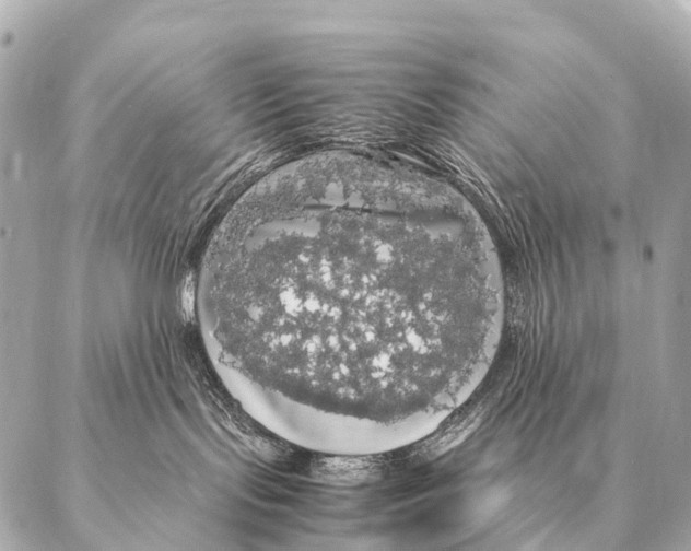 X0000087020095200705141907