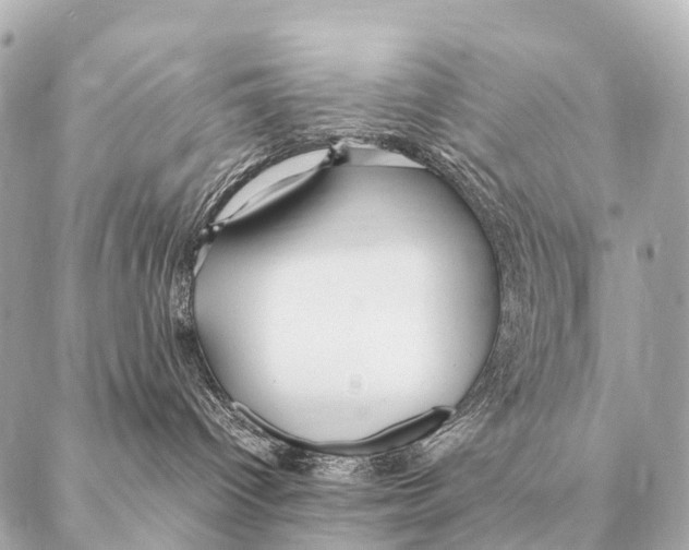 X0000087020096200705141907