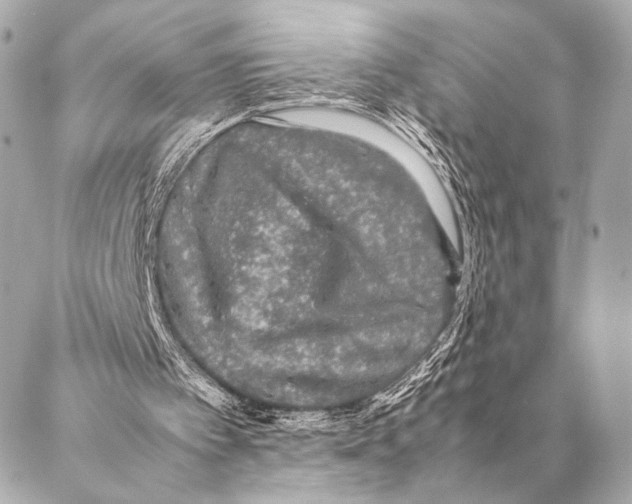 X0000087020097200705141906