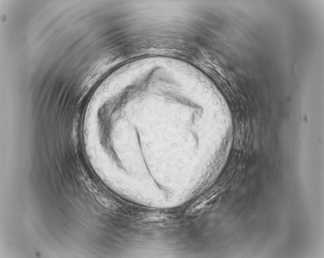 X0000087020098200705141906