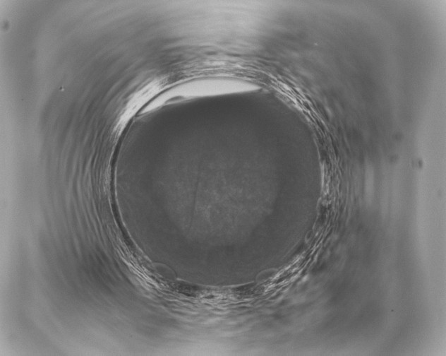 X0000087020099200705141906