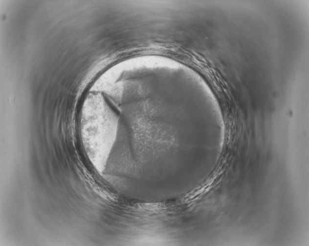 X0000087020102200705141906