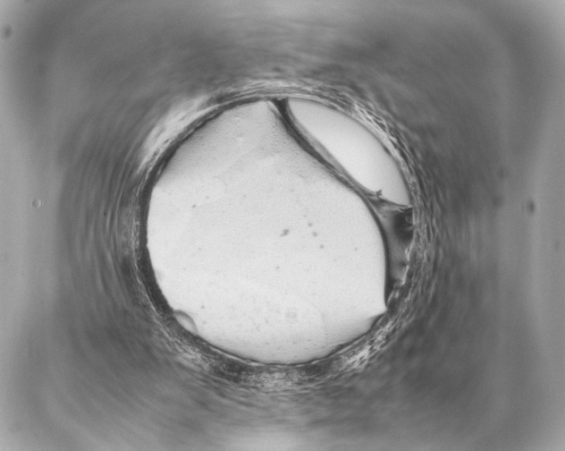 X0000087020103200705141906