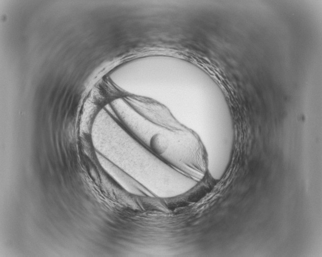 X0000087020104200705141906