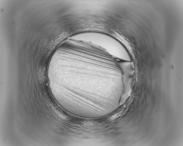 X0000087020105200705141906