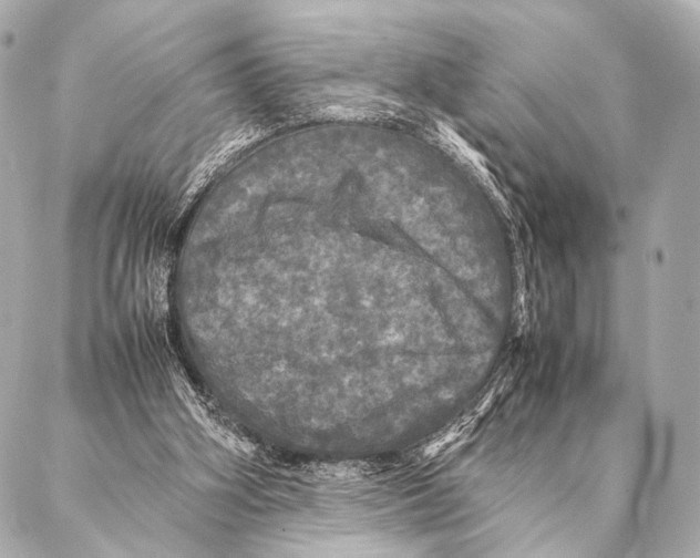 X0000087020106200705141906