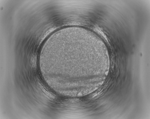 X0000087020108200705141906