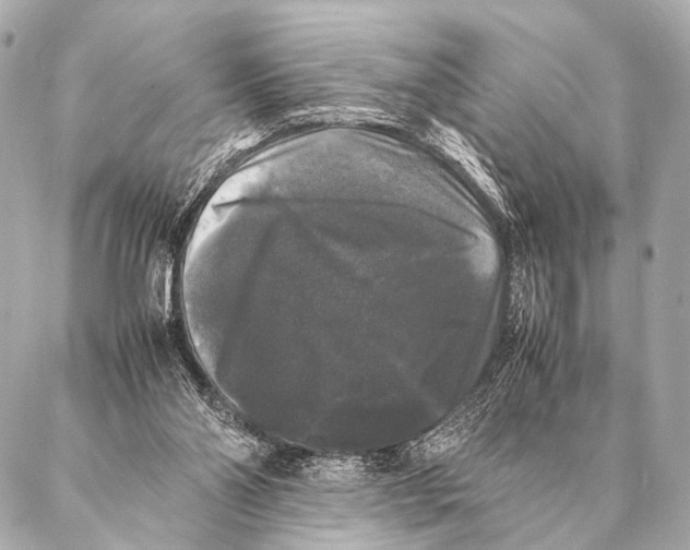 X0000087020110200705141906