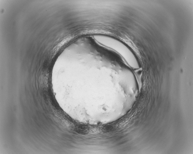 X0000087020111200705141906