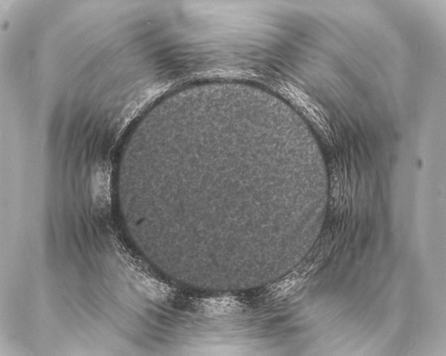 X0000087020112200705141906