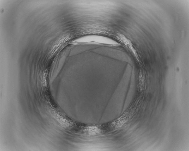 X0000087020114200705141906