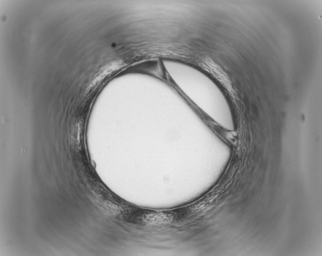 X0000087020115200705141906