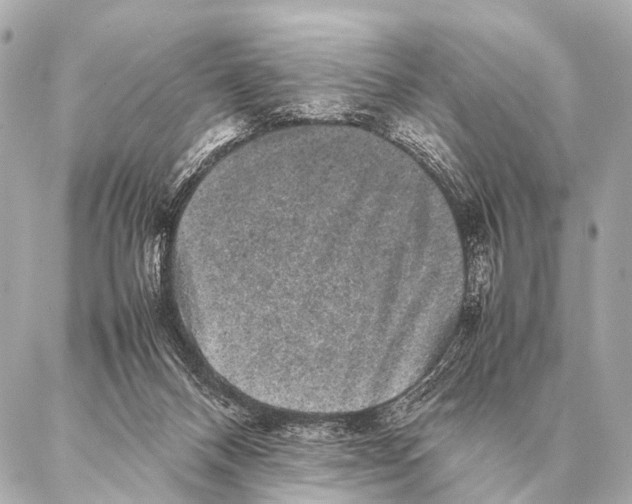 X0000087020120200705141906