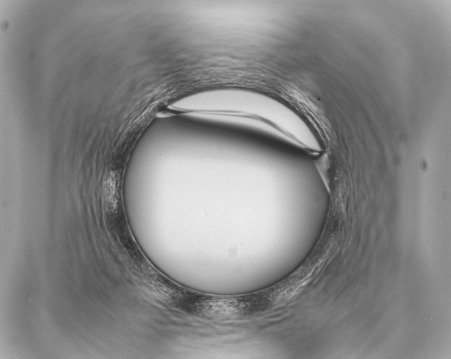 X0000087020121200705141906