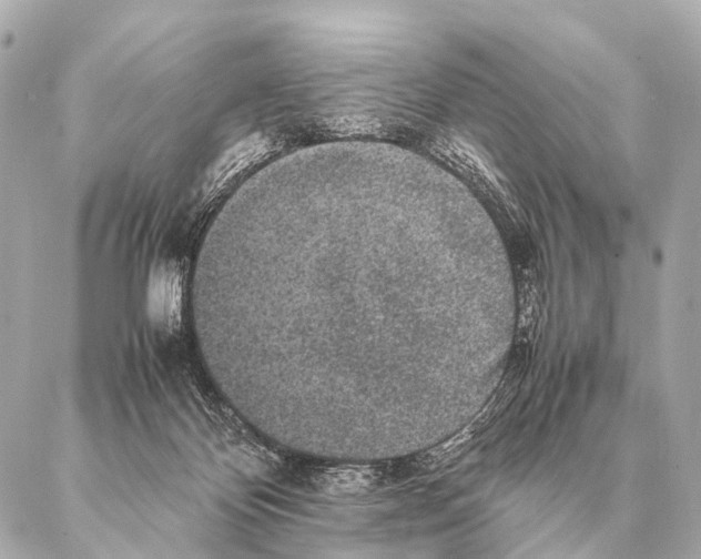 X0000087020124200705141906