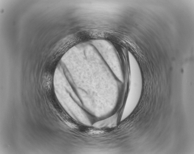 X0000087020125200705141906