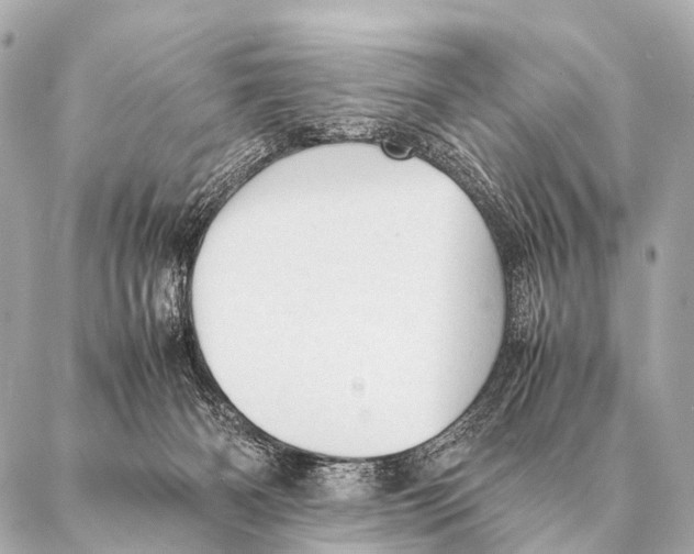 X0000087020126200705141906