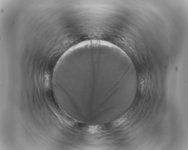 X0000087020130200705141906