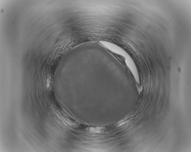 X0000087020134200705141906