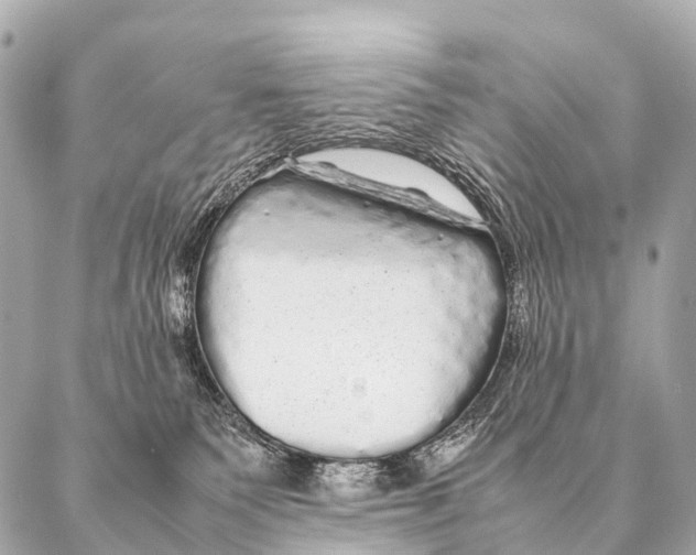 X0000087020135200705141906