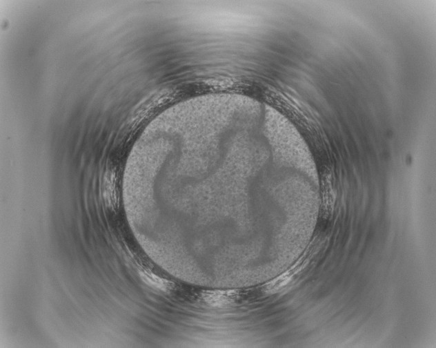 X0000087020136200705141906